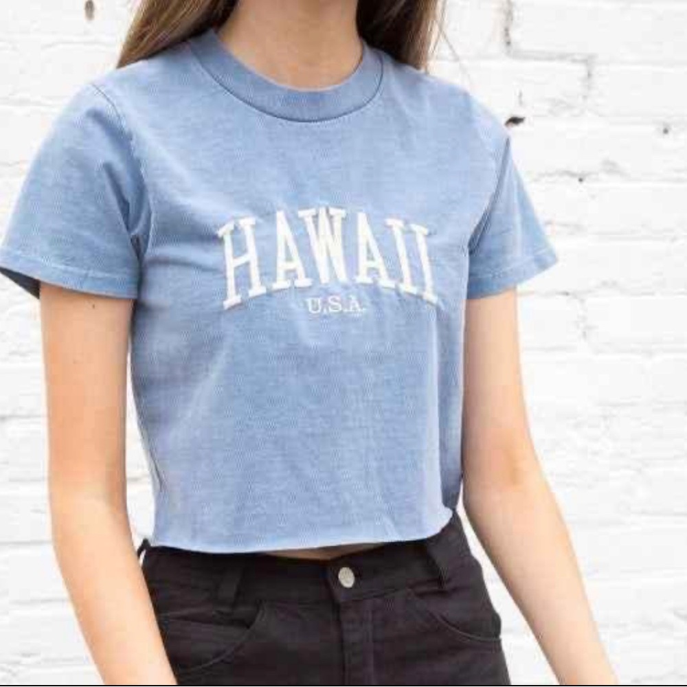 Brandy Melville Hawaii Crop Top